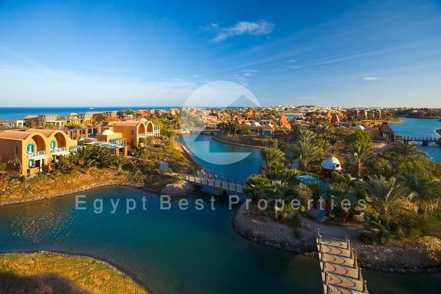 516815005. jpg 516815005. jpg