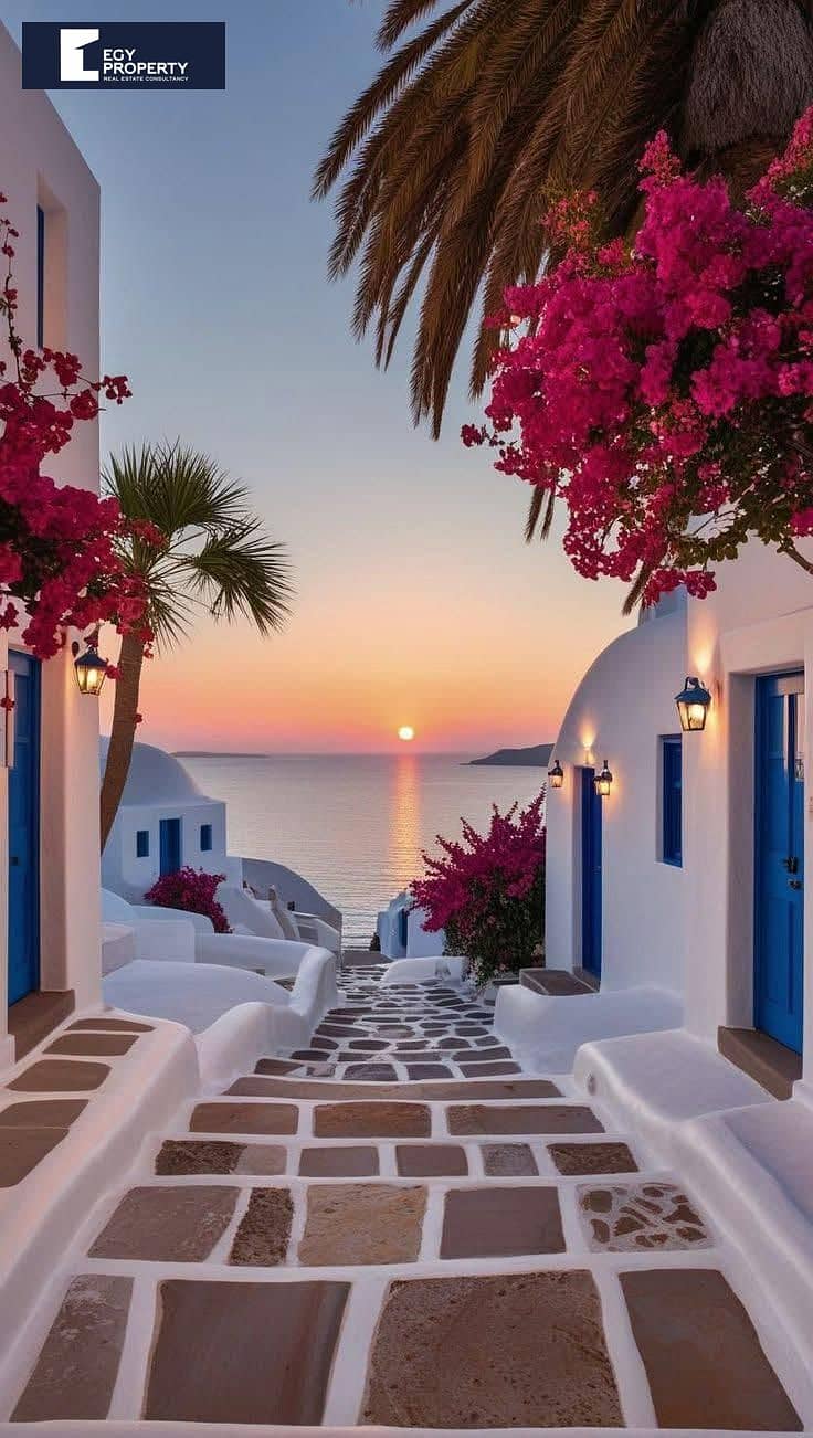 9 WhatsApp Image 2025-10-29 at 4.29. 55 AM. jpeg