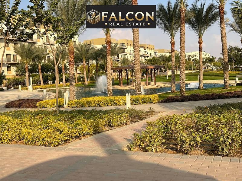 5 380106342_199922616450978_4640050920663755897_n. jpg