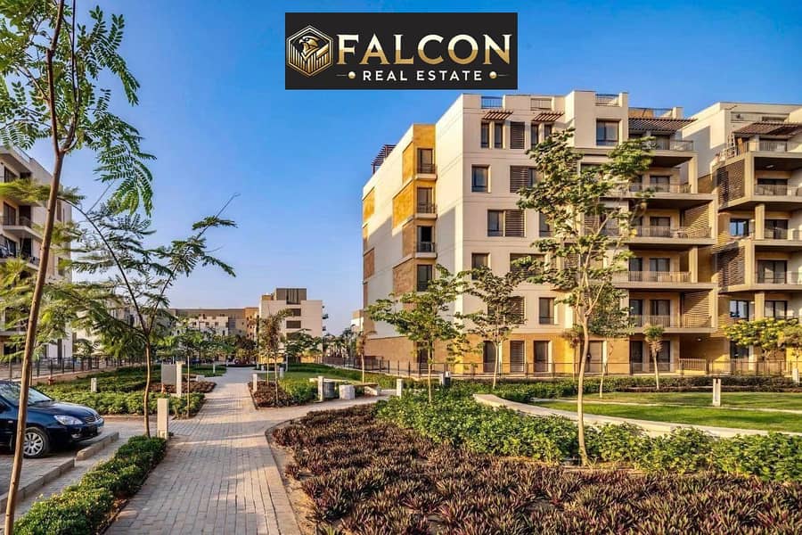 12 422289790_900194181752315_3083572181556193709_n. jpg