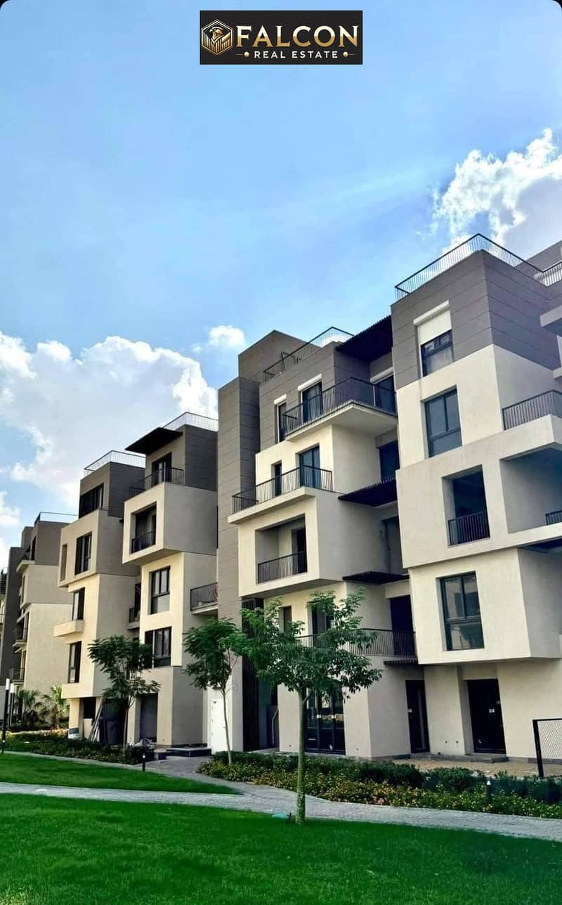 15 484920822_10227571239852809_6736100081101906276_n. jpg