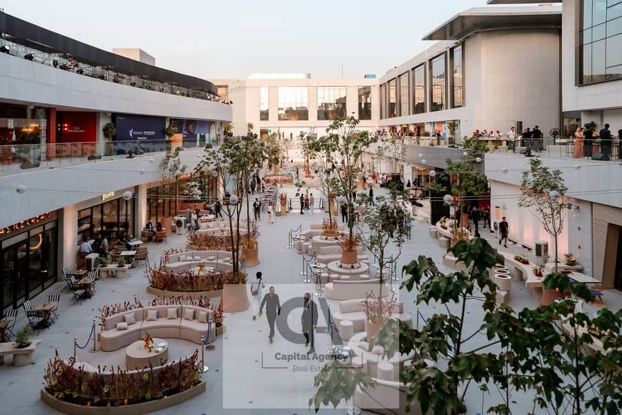 3 DSC01955-scaled. jpg