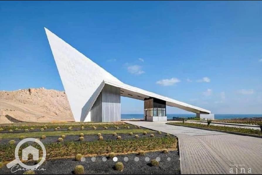 6 WhatsApp Image 2024-06-03 at 10.57. 37 AM (1). jpeg