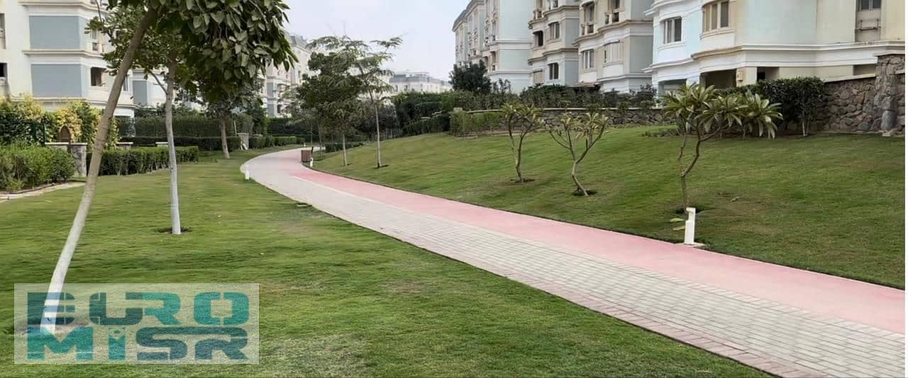 14 WhatsApp Image 2025-08-29 at 4.55. 23 PM. jpeg