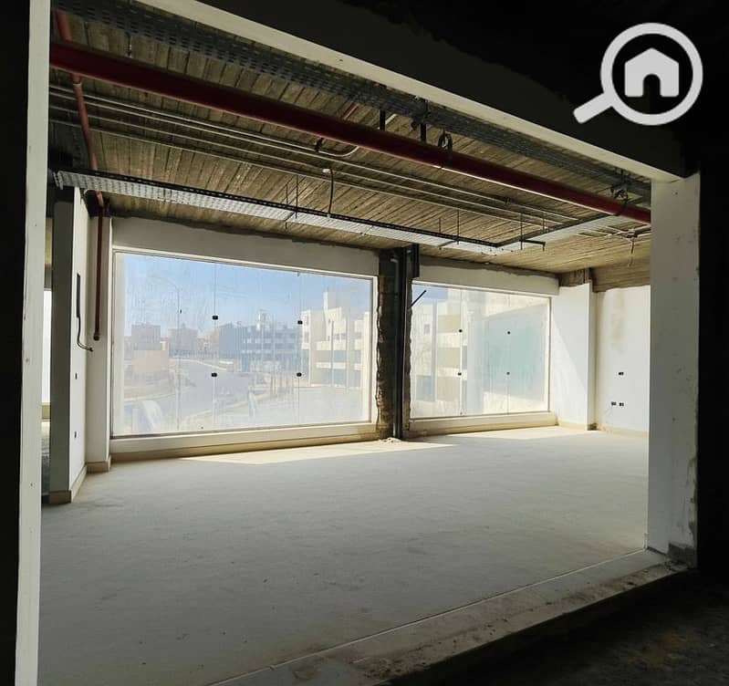 8 Generated Image September 16, 2025 - 2_08PM. png