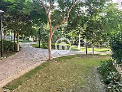 3 Bedroom Apartment for Rent in Madinaty, Cairo - WhatsApp Image 2025-09-25 at 1.06. 22 PM. jpeg