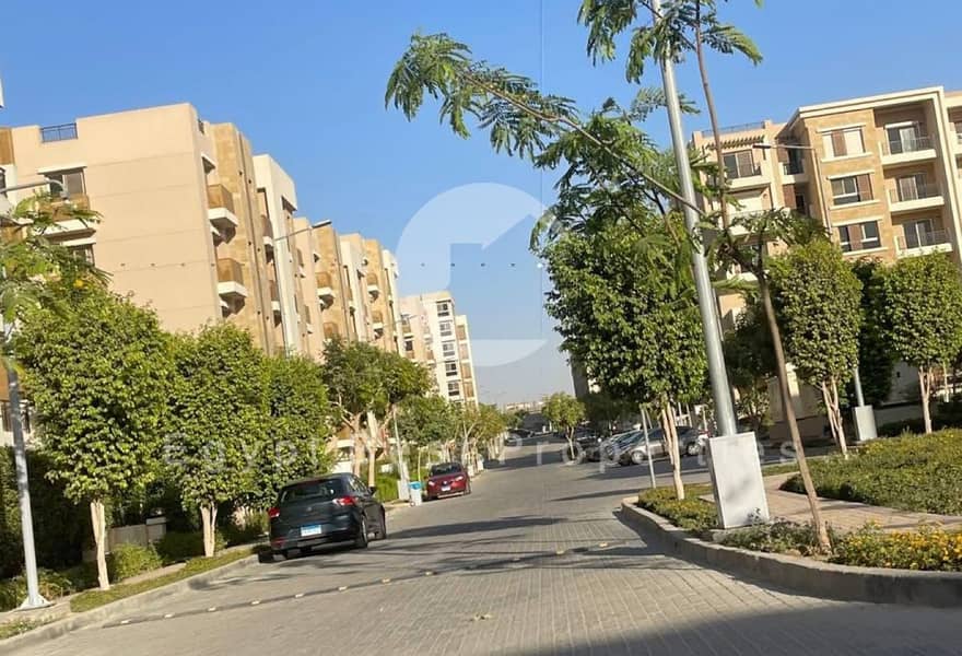 6 7453969d-5ce2-4813-9cbb-b3db46d4560a. jpeg