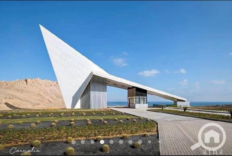 8 WhatsApp Image 2024-06-03 at 10.57. 37 AM (1). jpeg