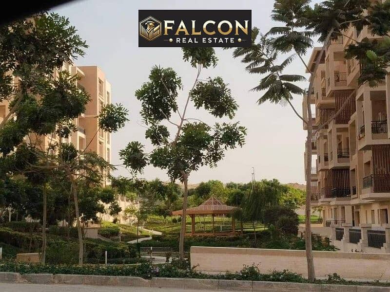 10 WhatsApp Image 2024-04-19 at 18.27. 20_e537b54d. jpg