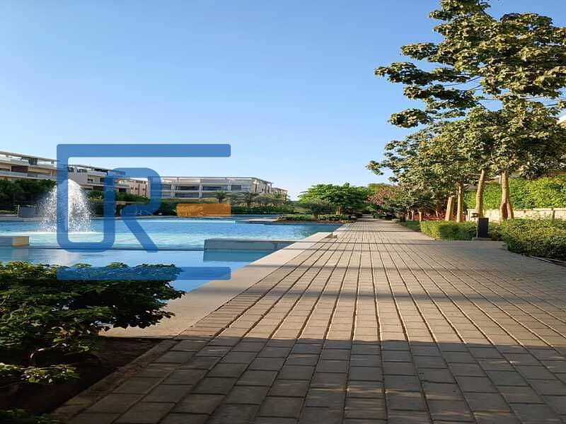 3a74b903-bc50-45fe-b17e-fbf7726eaf6e. jpg