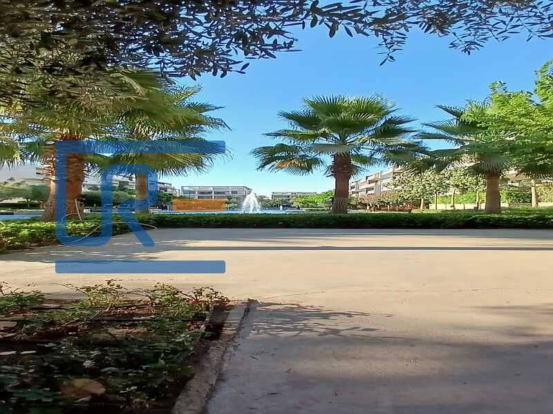 3 37d38392-97dc-408a-8d44-d8a0eb02f682. jpg