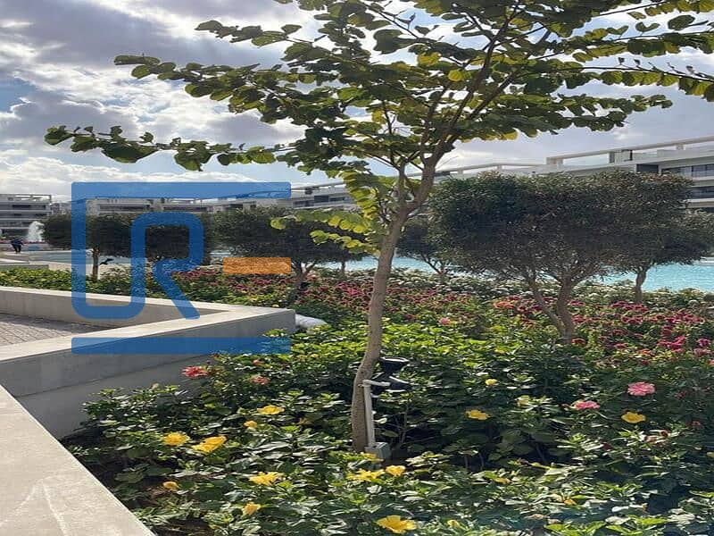 7 b8171c2d-163a-4549-be2a-43f4a6a16ed3. jpg