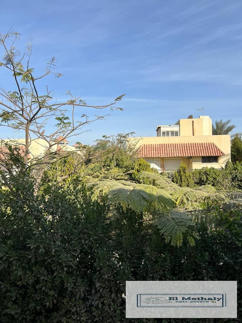 8 d2a12193-7f3e-4611-ba22-3123647f9c5f. jpg