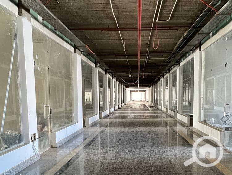 6 Generated Image September 15, 2025 - 2_26PM. png