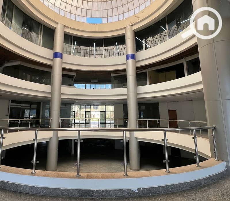 8 Generated Image September 23, 2025 - 2_06PM. png