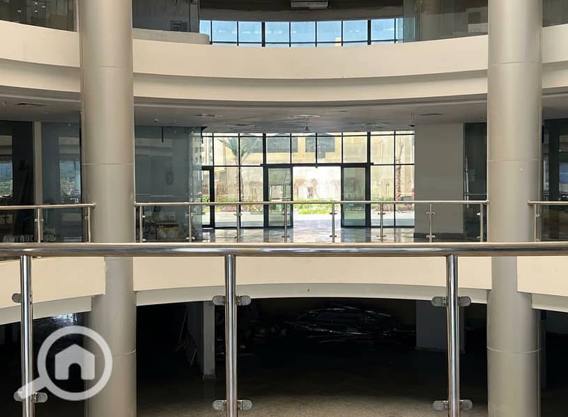 7 Generated Image September 23, 2025 - 1_55PM. png