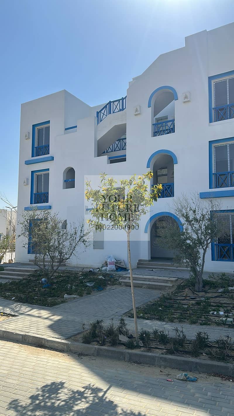 acfeb4ff-15b4-4a11-8f41-74217cde0915. jpg