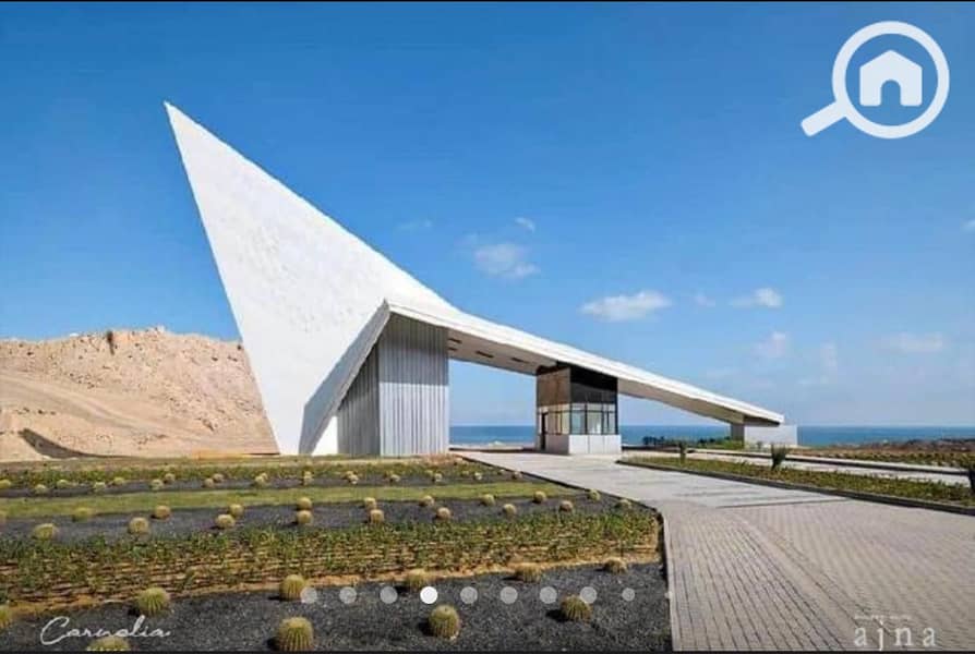 3 WhatsApp Image 2024-06-03 at 10.57. 37 AM (1). jpeg