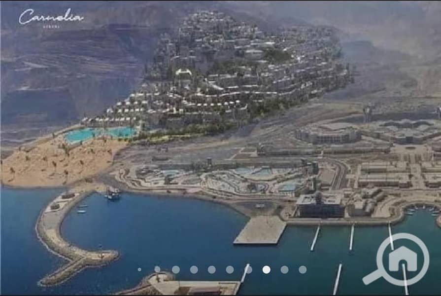 6 WhatsApp Image 2024-06-03 at 10.57. 51 AM. jpeg