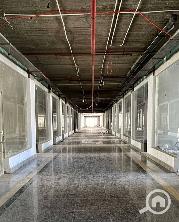 7 Generated Image September 15, 2025 - 2_26PM. png