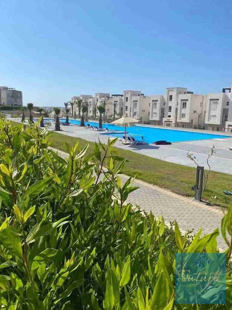 1002043126. jpg 1002043126. jpg