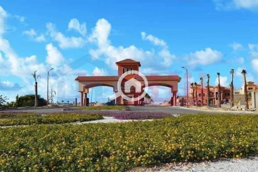 5 WhatsApp Image 2024-10-07 at 11.59. 56 AM. jpg