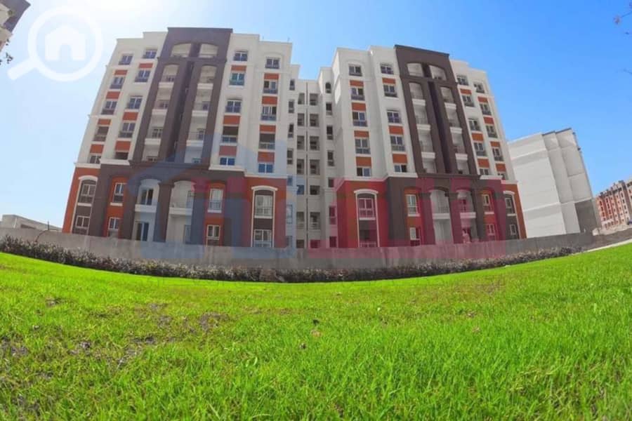 6 WhatsApp Image 2024-10-07 at 11.59. 57 AM (2). jpg