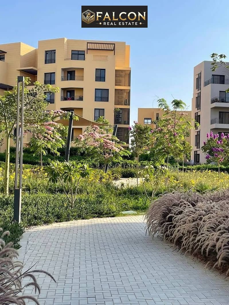 9 559016800_122289580340068478_7007278697027567004_n. jpg