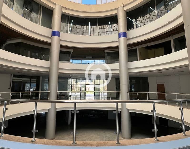 8 Generated Image September 23, 2025 - 2_06PM. png