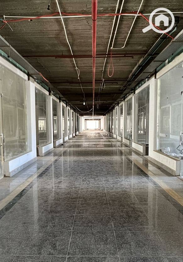 7 Generated Image September 15, 2025 - 2_26PM. png