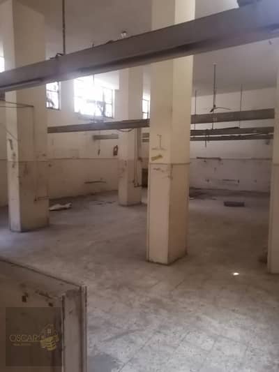 صناعي  للبيع في العباسية، القاهرة - WhatsApp Image 2025-10-29 at 3.02. 23 PM (1). jpeg