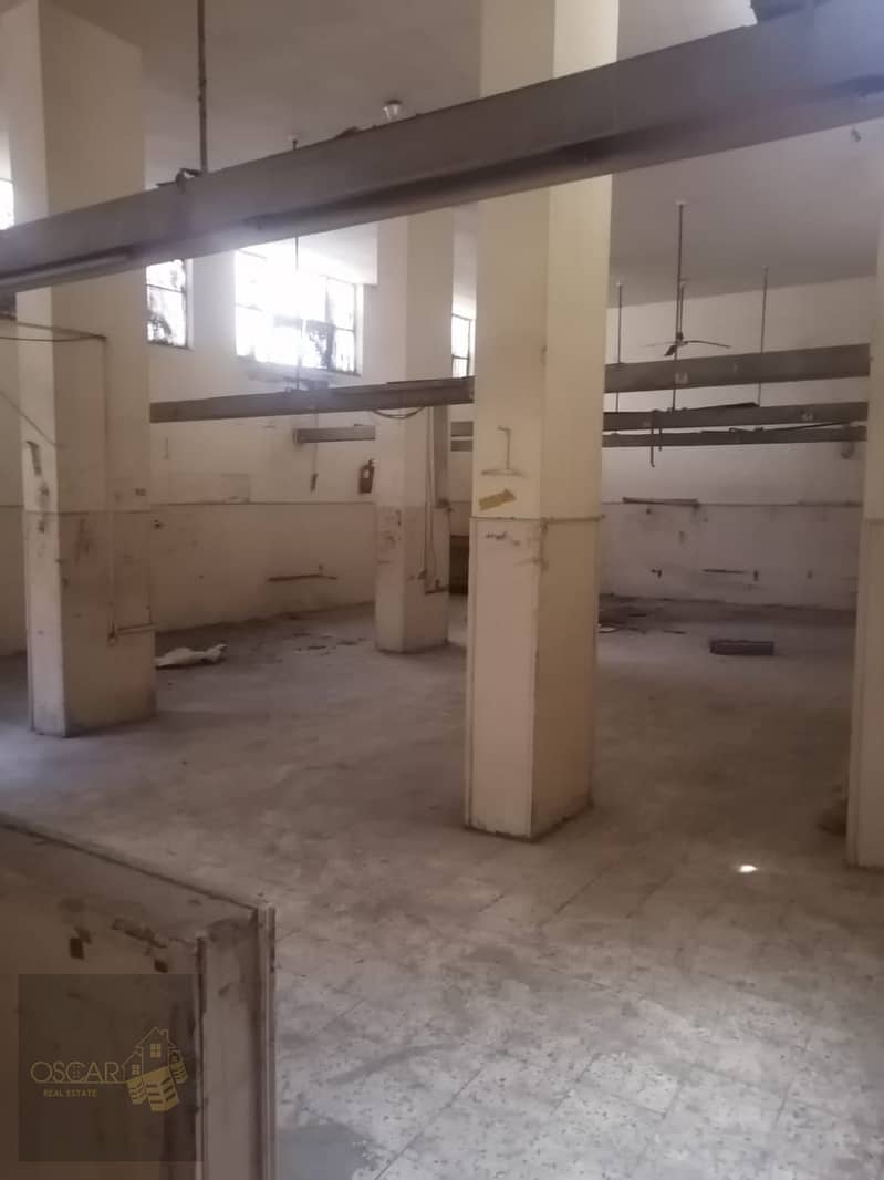 WhatsApp Image 2025-10-29 at 3.02. 23 PM (1). jpeg