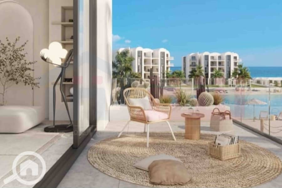 3 IMG-20251015-WA0050. jpg