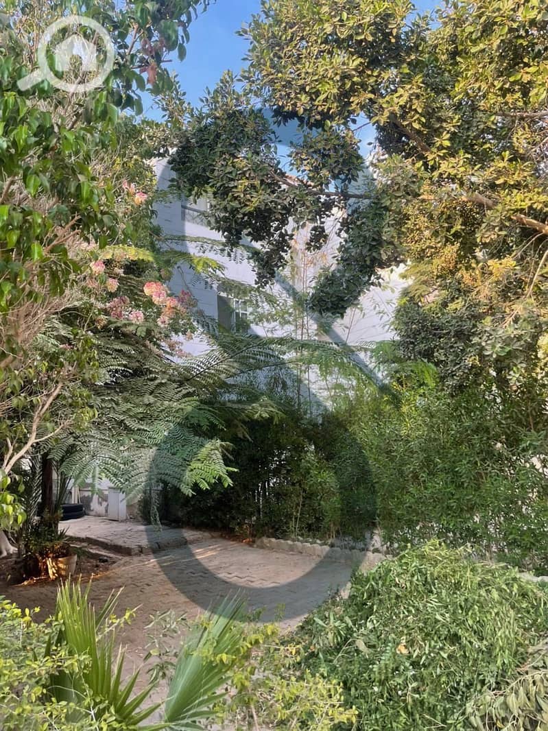 6 PHOTO-2025-10-28-15-18-37. jpeg