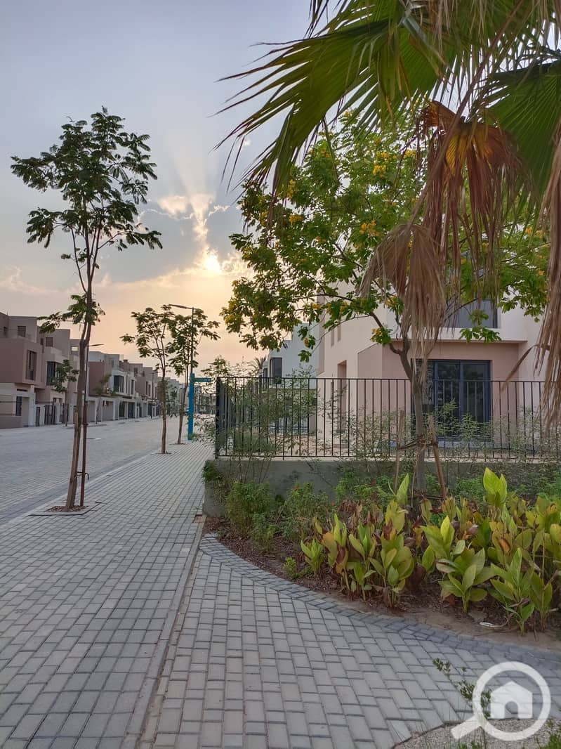 6 IMG_20231009_170946. jpg