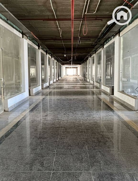 7 Generated Image September 15, 2025 - 2_26PM. png