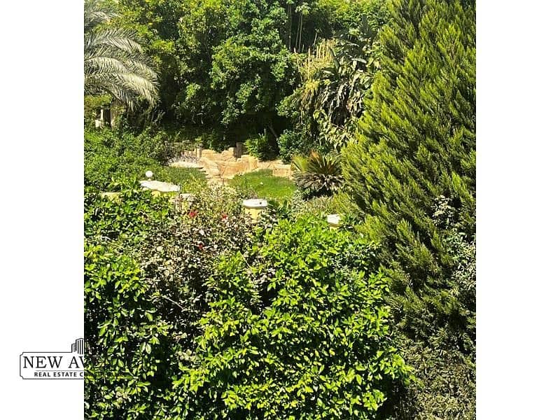 7 WhatsApp Image 2025-10-28 at 10.35. 06 PM (1). jpg