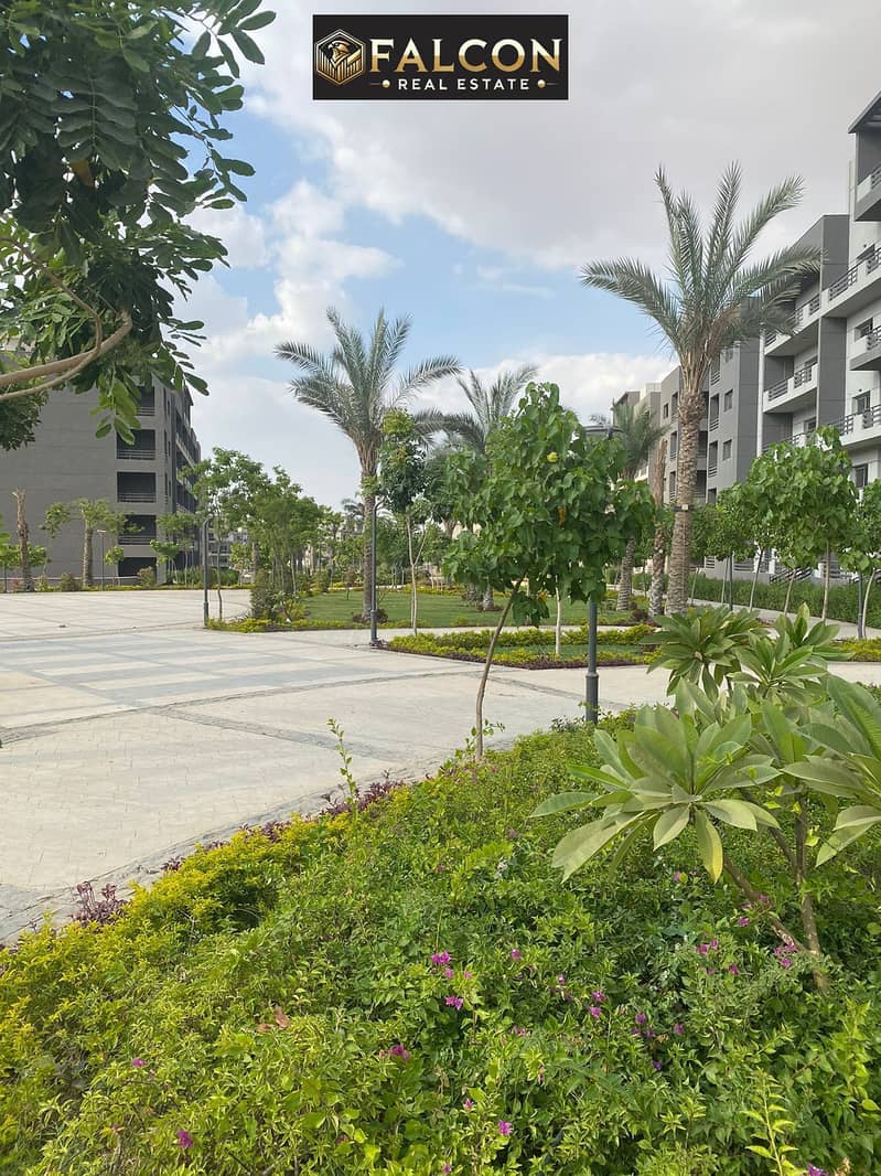 2 WhatsApp Image 2025-10-21 at 14.26. 53_5d8b33cd. jpg