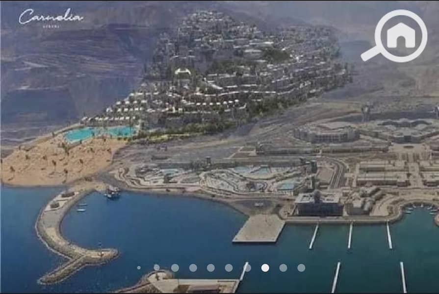 7 WhatsApp Image 2024-06-03 at 10.57. 51 AM. jpeg