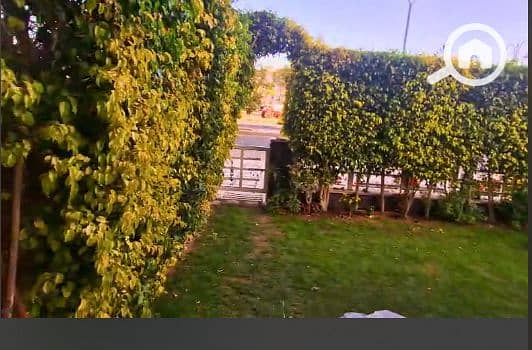 9 Screenshot (18). png