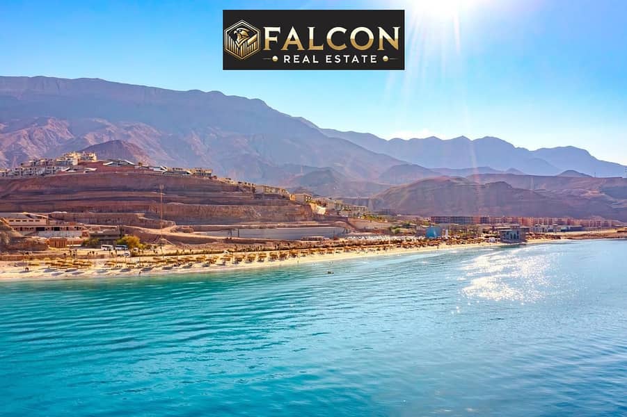 6 29c82586-5554-46bd-a8d9-3eb2f626e011. jpeg