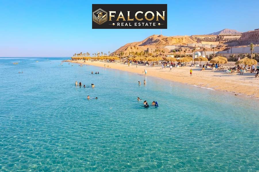 11 f6653cbd-e4b3-4019-8eb3-6078dbe114fe. jpeg