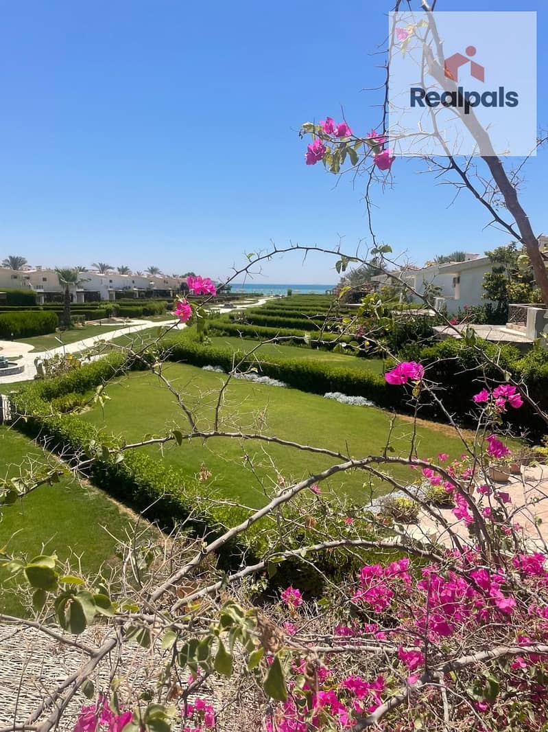 3 WhatsApp Image 2025-09-11 at 2.28. 48 PM (4). jpeg