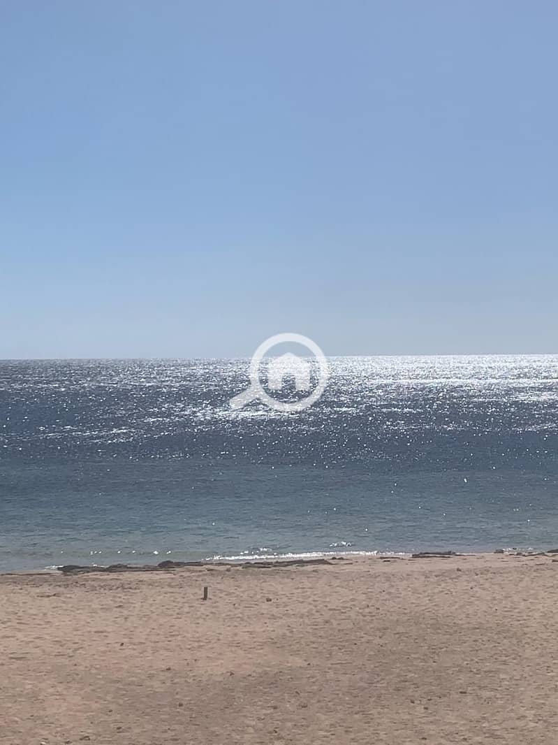 1e2bcd88-2d54-4fdc-b04d-5456ba8351cd. jpg 1e2bcd88-2d54-4fdc-b04d-5456ba8351cd. jpg