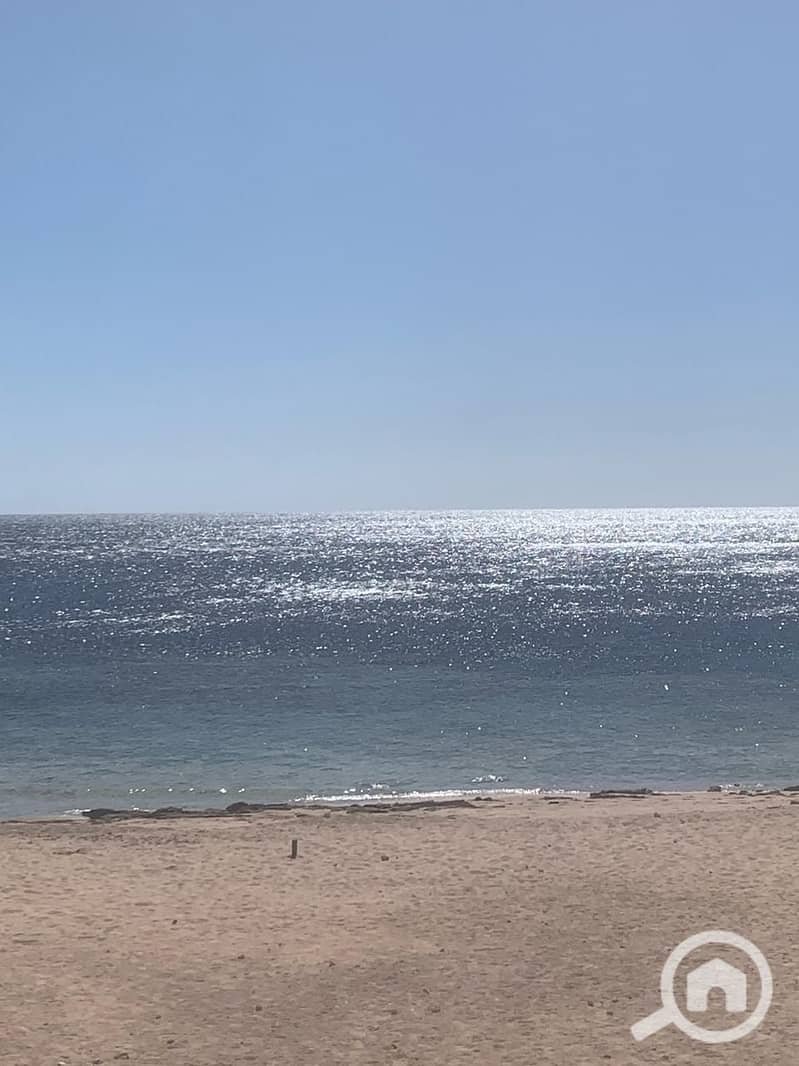 5 438ba71e-e2cf-4529-a997-7e70037ad2e1. jpg