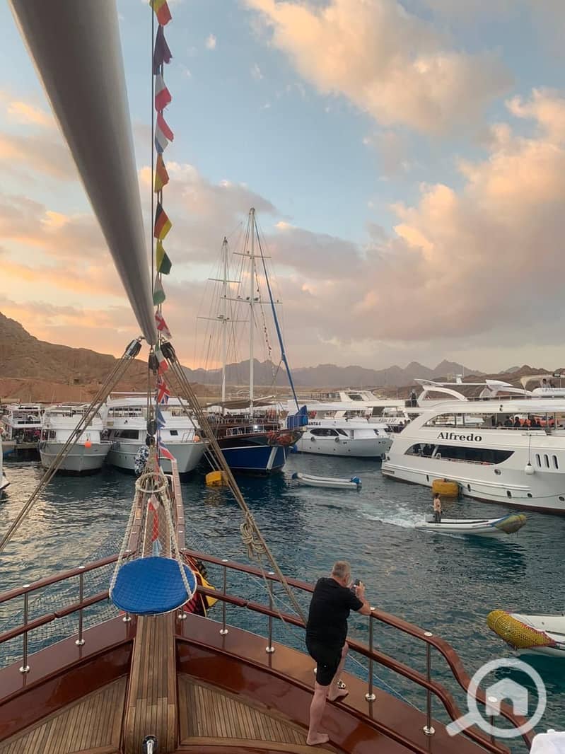 10 sharm bob and city tour 4. jpg