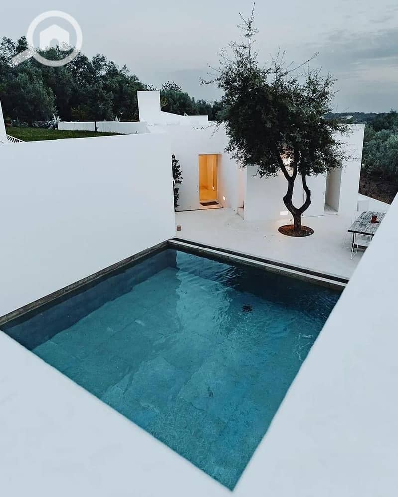 14 bd117d90-4839-4e9d-bdc0-5d4ea3cf7eda. jpg