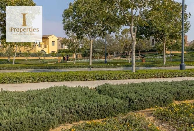 4 3163921-42cf2o. jpg