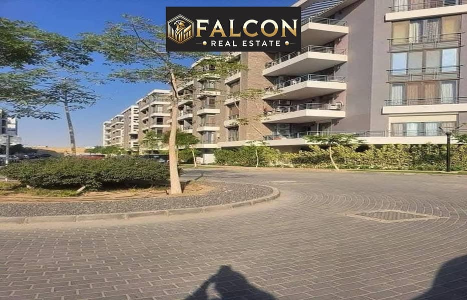 7 38b5868d-52ff-423c-89ea-5c9df7a7e4e0. jpg