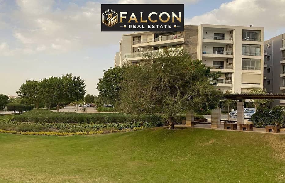 10 a12982bf-25ff-402b-8a34-6067994a9f5a. jpg